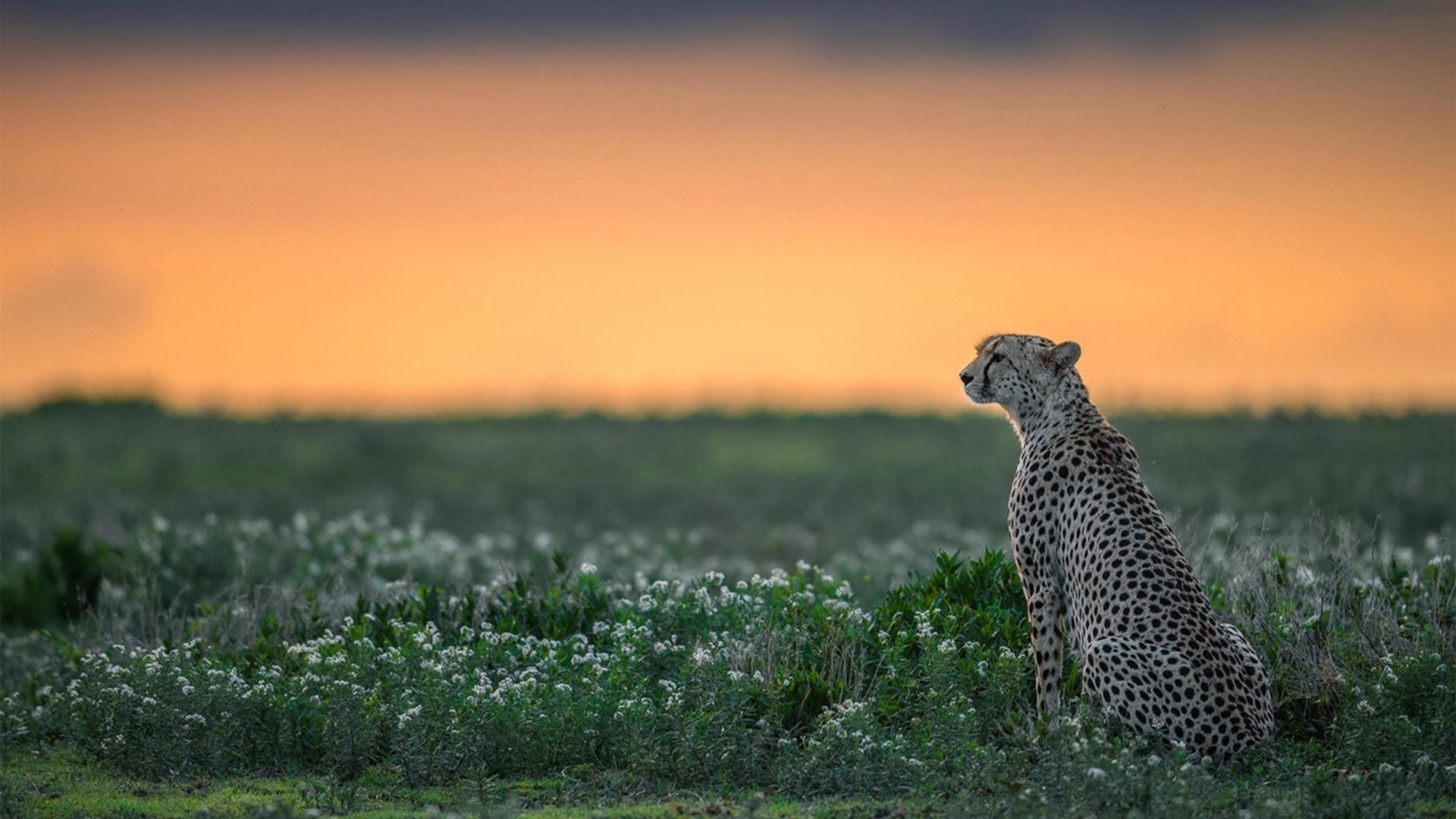 开云app-中超联赛强强对话表现整理，中超比赛强度  第3张