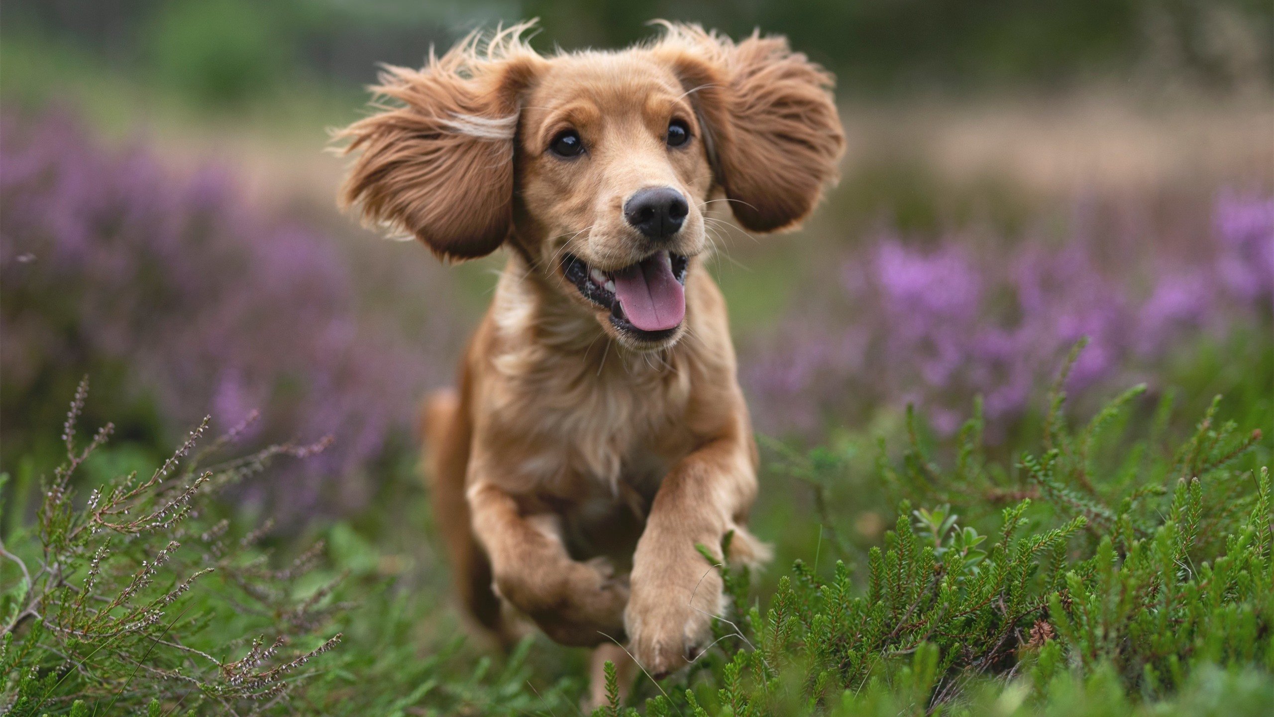 开云体育下载-中超联赛排名变化趋势分析，中超联赛排名变化趋势分析报告  第5张