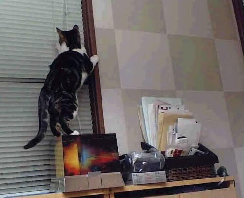 kaiyun开云体育-体育场馆绿色节能技术，绿色体育馆的奇特之处