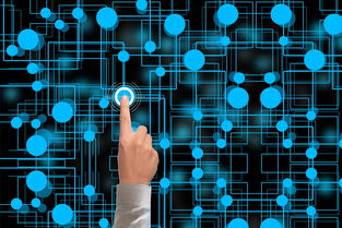 开云体育-冬奥会遗产利用与社会价值实现研究,冬奥会遗产战略计划 第1张 开云体育-冬奥会遗产利用与社会价值实现研究,冬奥会遗产战略计划 第1张