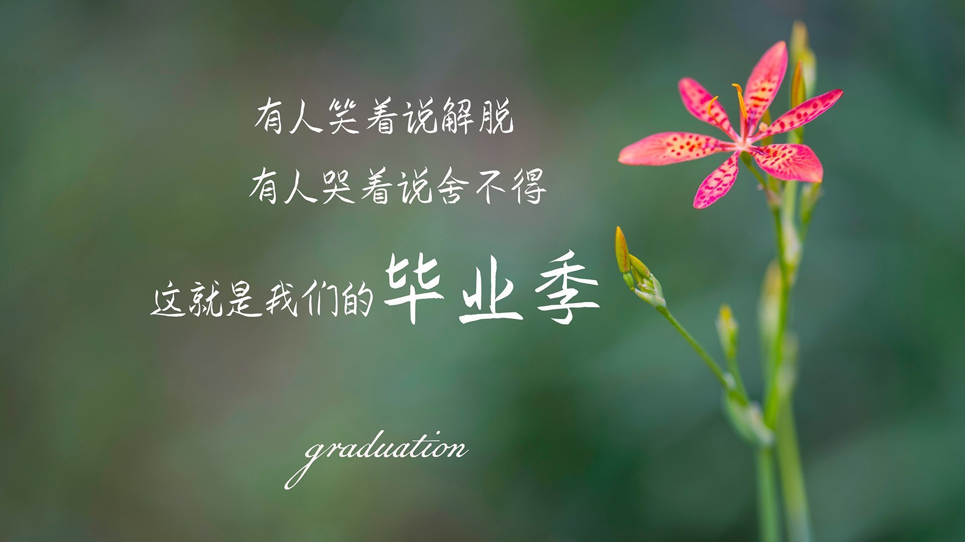 开云体育在线-篮球运动员体能与技能协同提升训练体系，篮球运动员体能与技能协同提升训练体系有哪些