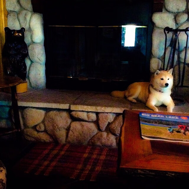 开云体育在线下载-USMA 在杯赛决赛 71–69 战胜 WO Boufarik 创纪录首冠,usaco赛制 第2张 开云体育在线下载-USMA 在杯赛决赛 71–69 战胜 WO Boufarik 创纪录首冠,usaco赛制 第2张