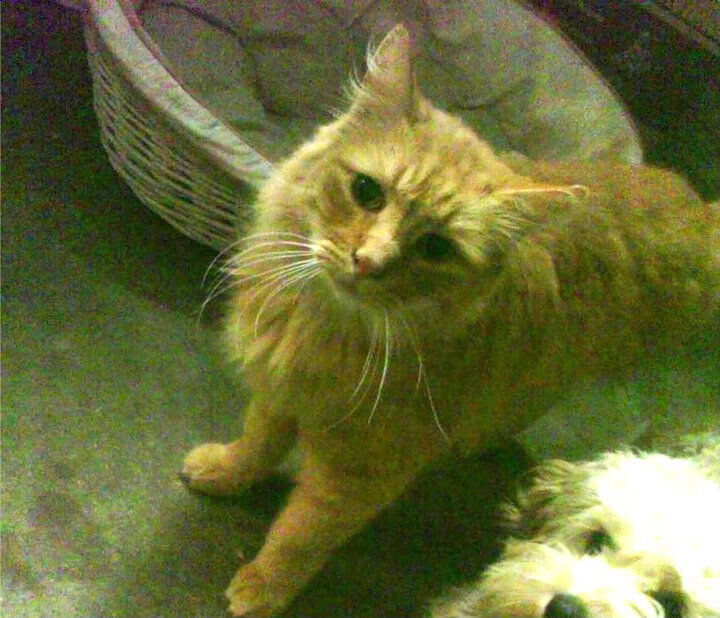 开云体育app注册-电竞比赛场地布置更具科技感提升沉浸体验，电子竞技场地  第2张