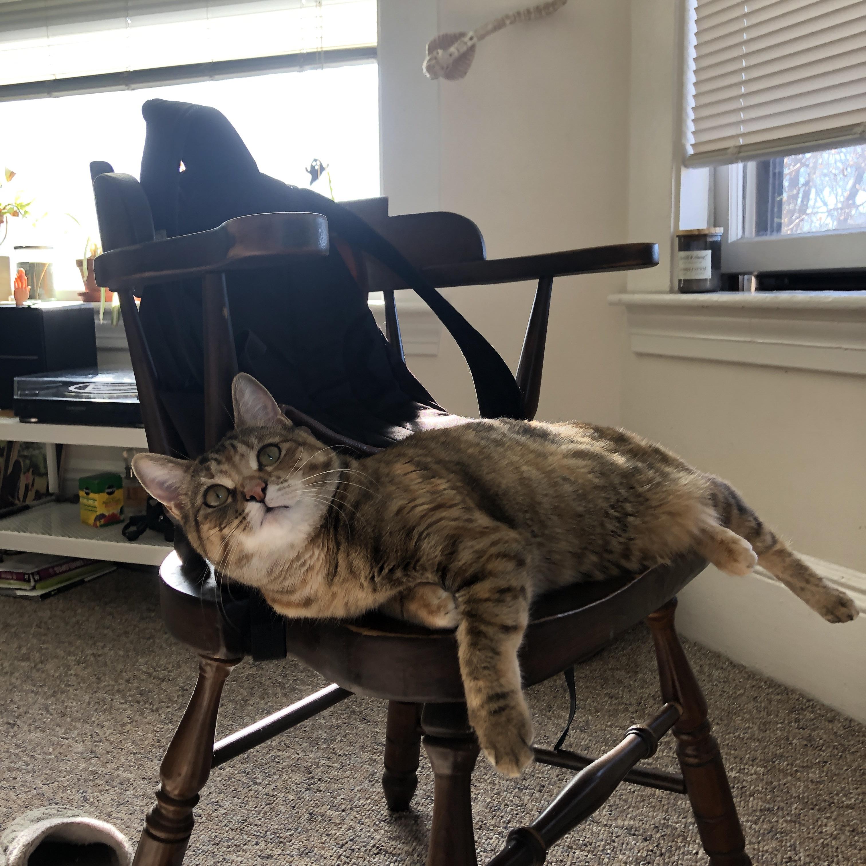 开云官方网-里尔持续保持高位压迫打法