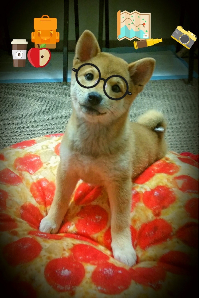 开yun官网-中国足球青训教练员能力提升计划全面启动，足球青训教练平均工资水平