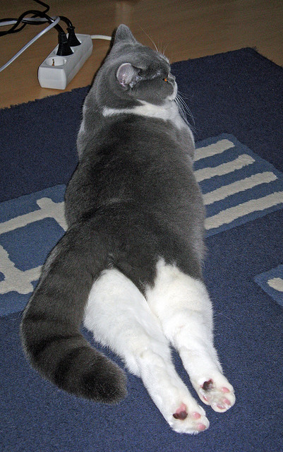 开云体育在线官网-卢旺达女篮在国际舞台上崭露头角，体育水平持续提升