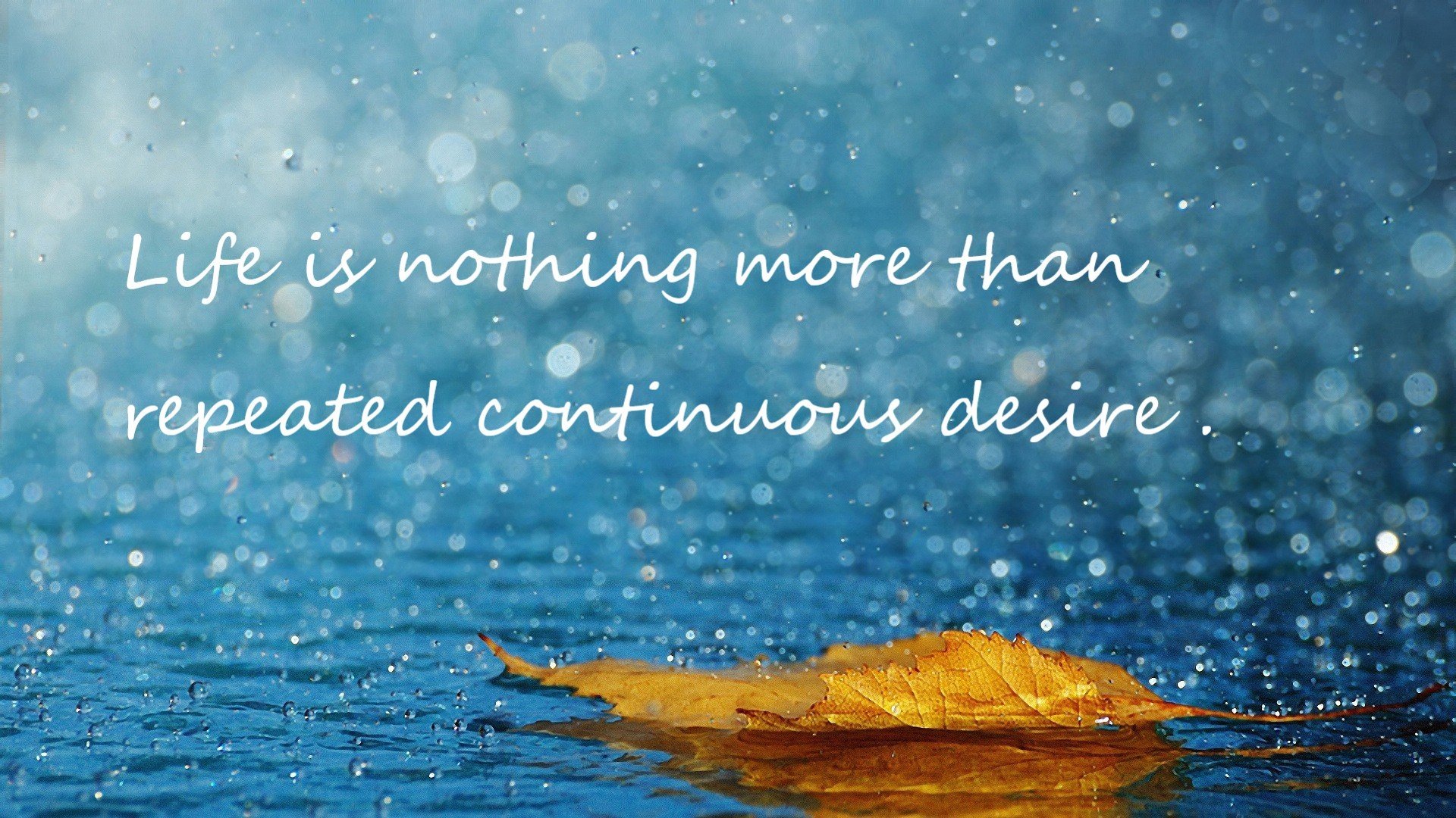 开云体育在线官网-女子篮球队注重攻防转换速度培养适应快节奏比赛，女子篮球队训练方法