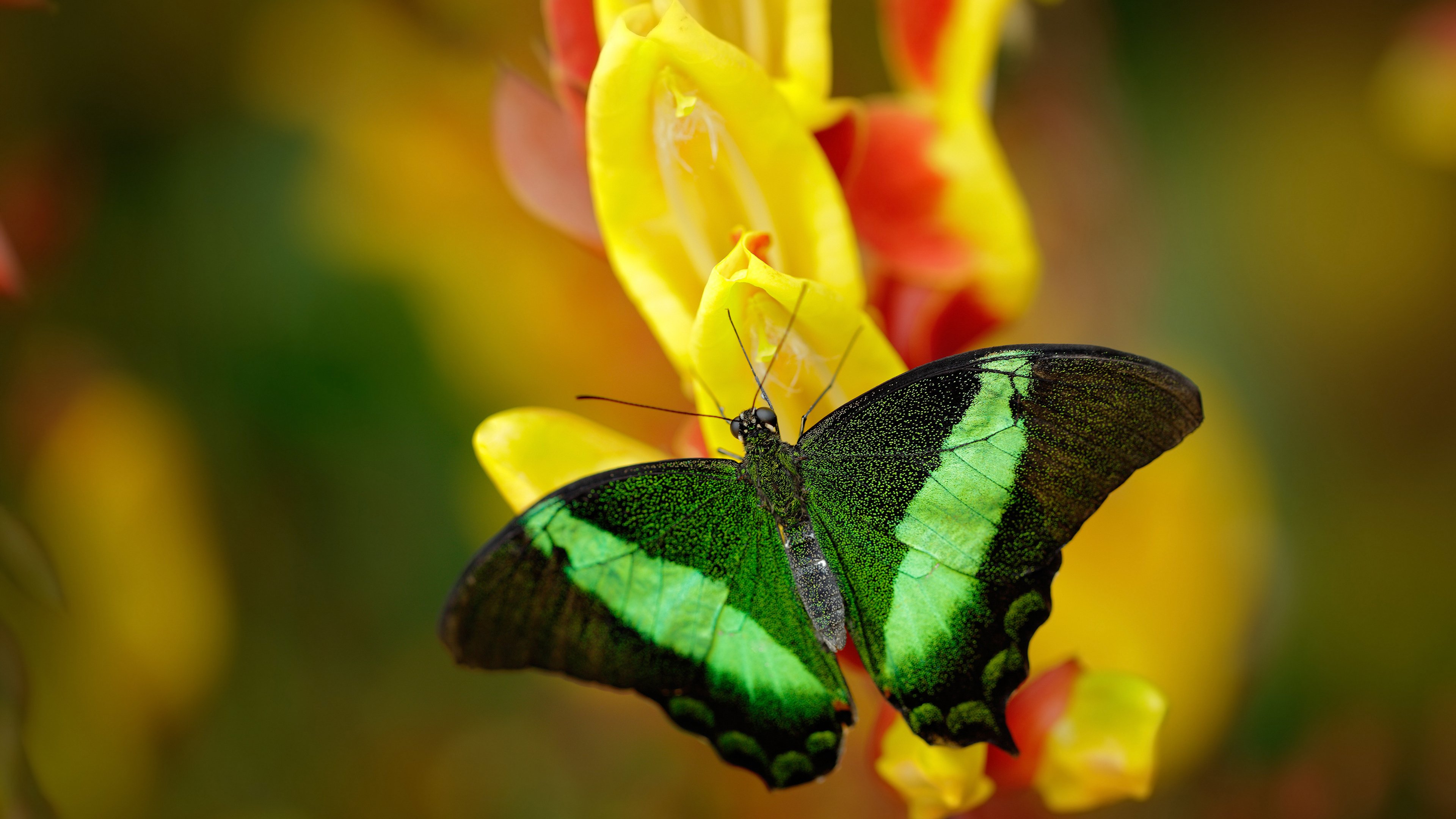 开yun官网-意甲赛场的环保节能方案推广