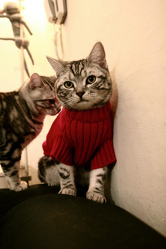 开云体育官网app-林丹亲笔信致谢多年陪伴球迷支持，林丹承认