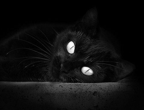 开云体育app-欧洲杯变阵频繁：战术多变引领新趋势！，欧洲杯变盘分析