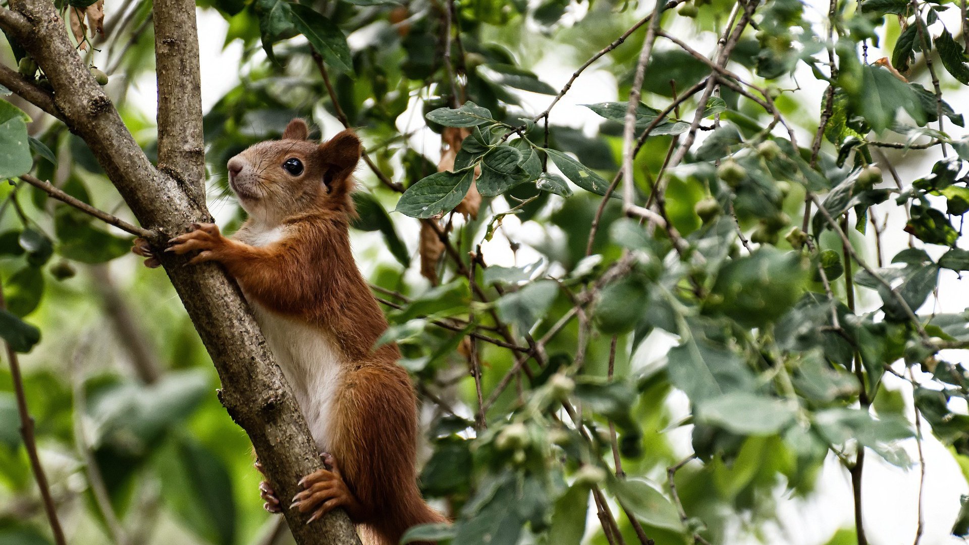 开云体育app在线-男篮青年队采用集中住宿制度强化纪律意识，男篮入住酒店接待方案