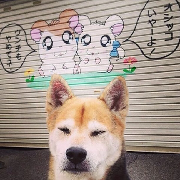 开云体育在线下载-职业与校园联赛协同发展推动足球普及提升水平，校园足球联赛实施方案