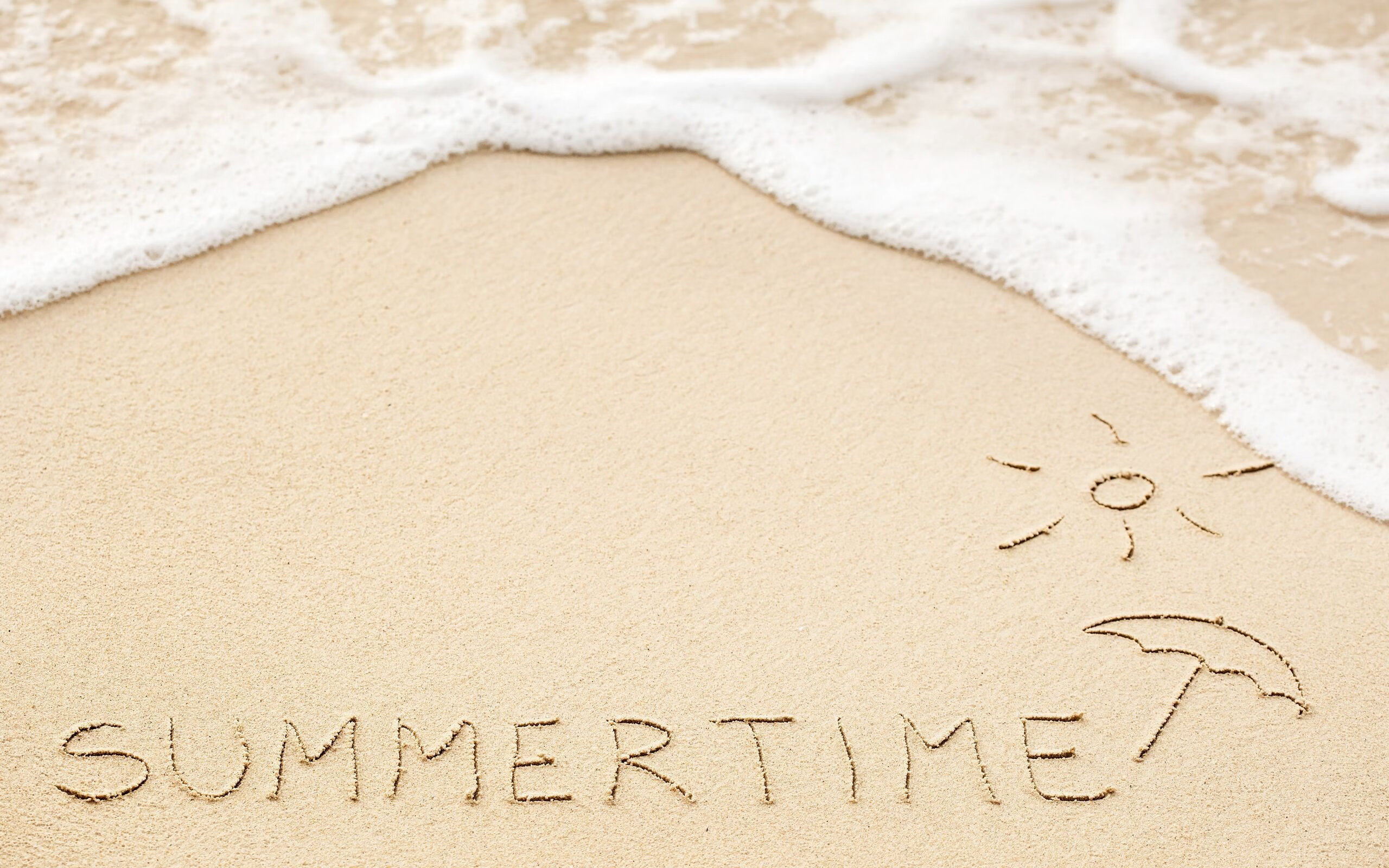 开云体育网址-职业联赛设立新人培养计划助力青年球员成长，进入职业联赛需要什么条件