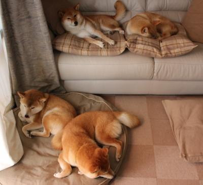 开云体育官网登入-西甲高手对决：突破、助攻、精彩无极限！，西甲如何决出冠军