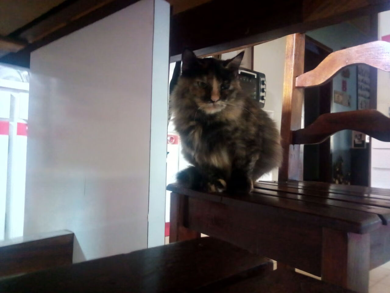 开云体育登录-CBA新赛季分组出炉，山西狂胜24分，广东伤病阴影笼罩，cba 新赛季