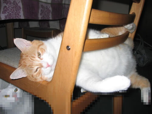 开云体育在线登入-中国篮球改革新政对CBA联赛质量提升的作用，中国篮球改革的现状