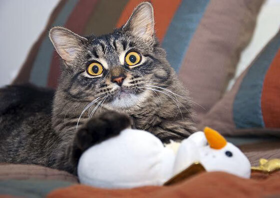 开云体育官网-中国足球冬季气候与训练场地条件对运动员表现的影响，冬季足球训练的好处