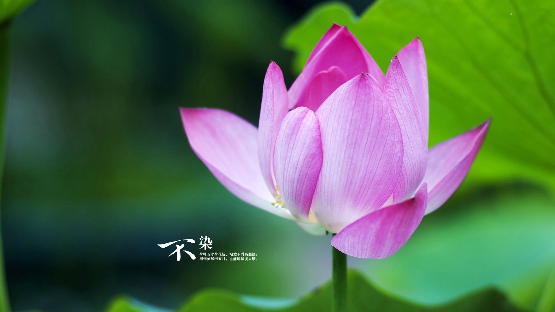 开云ky官网-中国足球青少年足球活动覆盖农村及城市，中国青少年足球训练基地