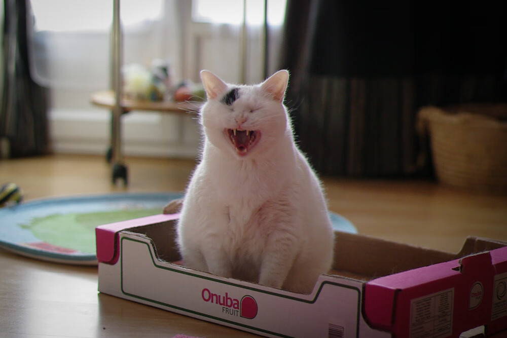 开云体育官网在线-中超联赛球场安全保障措施，球场安全守则