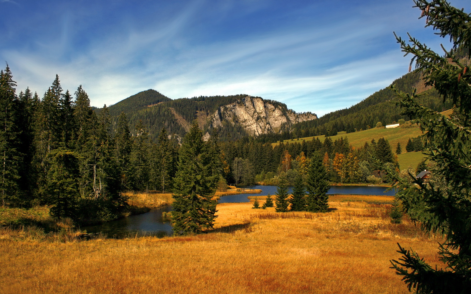 开云体育在线下载-五大联赛前场组织者成为绝对战术核心，五大联赛前场组织者成为绝对战术核心吗