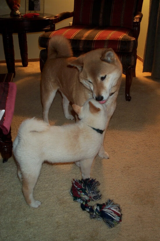 开云体育平台-体育新闻中心聚焦职业赛事媒体合作机制传播优化，体育赛事新闻报道