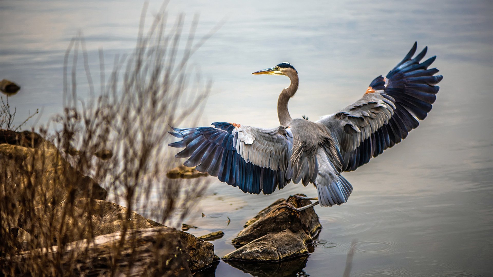 开云体育官网登入-俱乐部管理层称赞球队执行力和职业精神，俱乐部管理人员的设置